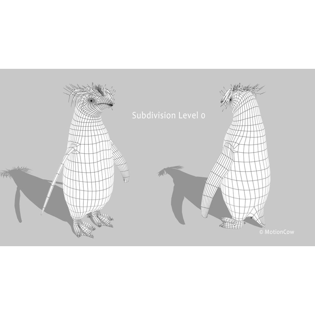 Rockhopper Penguin 3D Model – Rigged Game Asset, FBX, OBJ - View 15