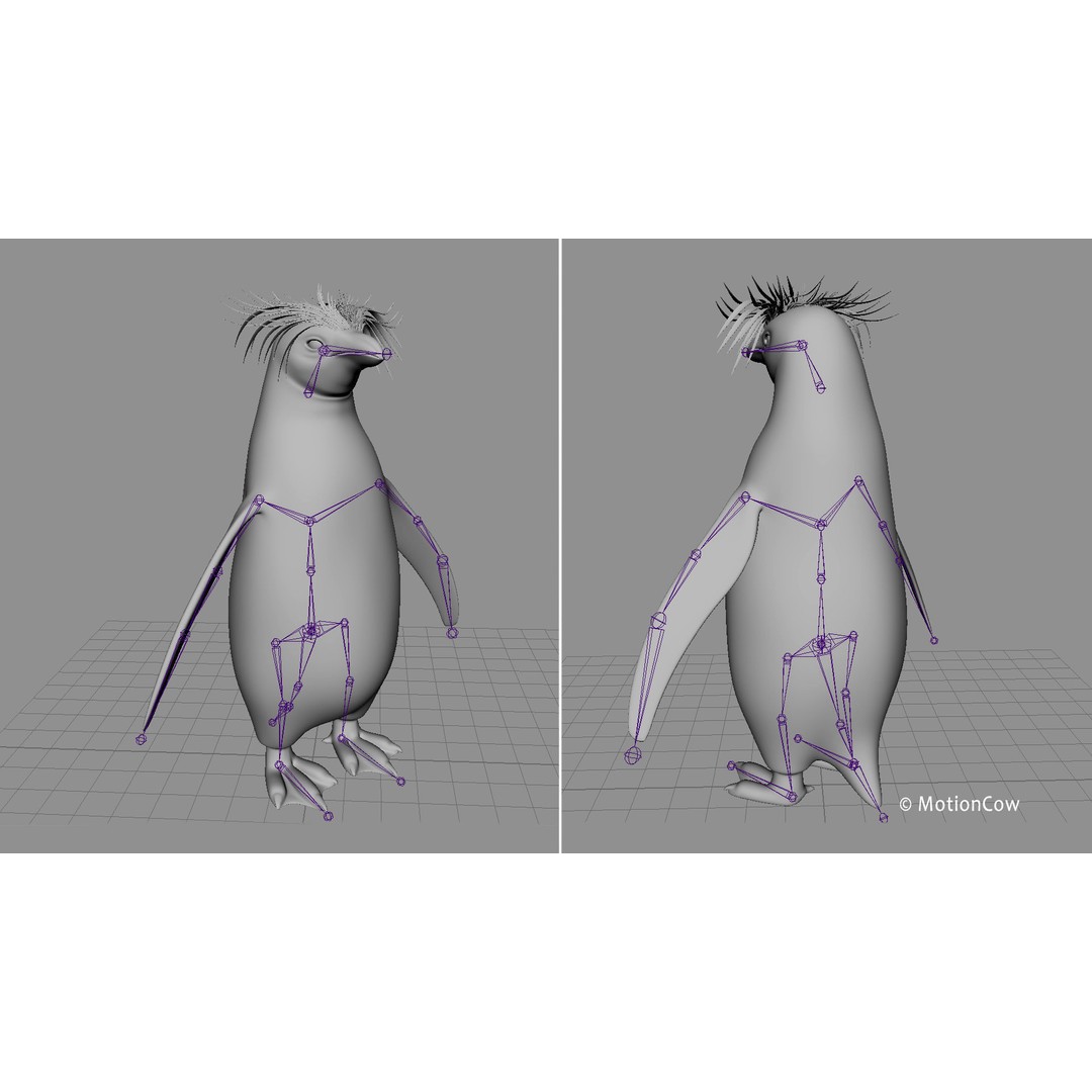 Rockhopper Penguin 3D Model – Rigged Game Asset, FBX, OBJ - View 17