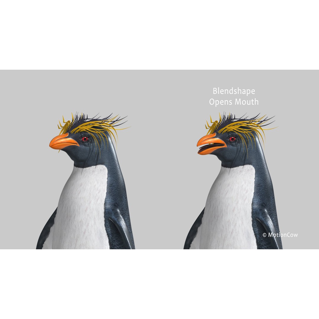 Rockhopper Penguin 3D Model – Rigged Game Asset, FBX, OBJ - View 5