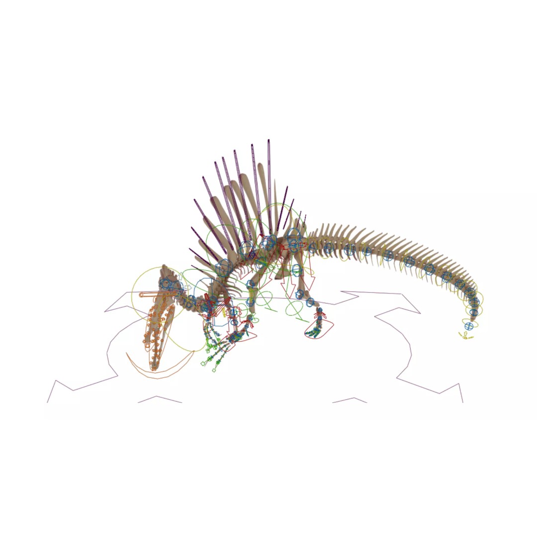 Spinosaurus Skeleton 3D Model – Fully Rigged Prehistoric Asset, Blender - View 13