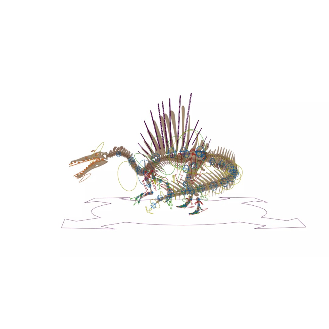 Spinosaurus Skeleton 3D Model – Fully Rigged Prehistoric Asset, Blender - View 14