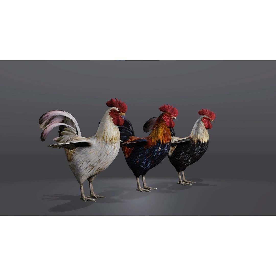 Realistic Rooster 3D Model – Low Poly Game Ready Asset, FBX, Blender