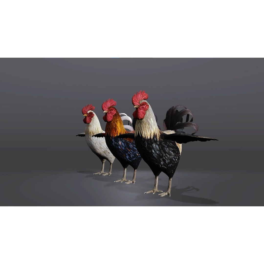 Realistic Rooster 3D Model – Low Poly Game Ready Asset, FBX, Blender - View 4