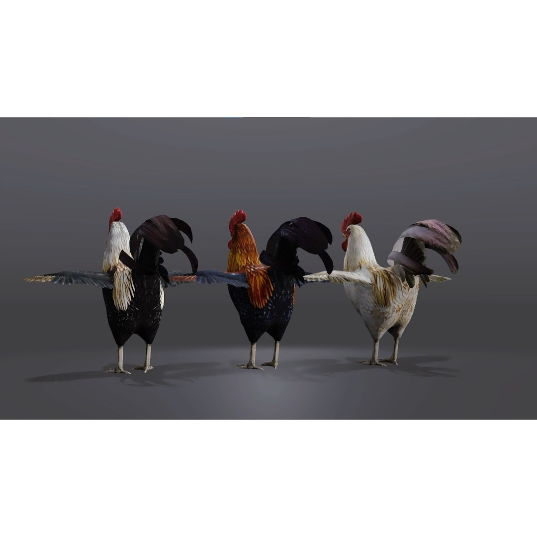 Realistic Rooster 3D Model – Low Poly Game Ready Asset, FBX, Blender - View 5