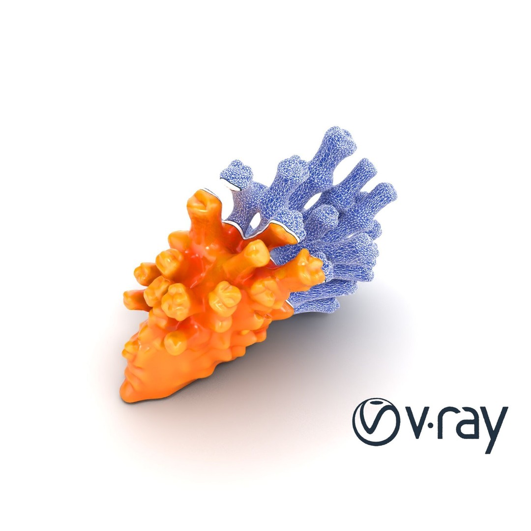 Coral Fan 3D Model – Low Poly Textured Asset for Underwater Scenes