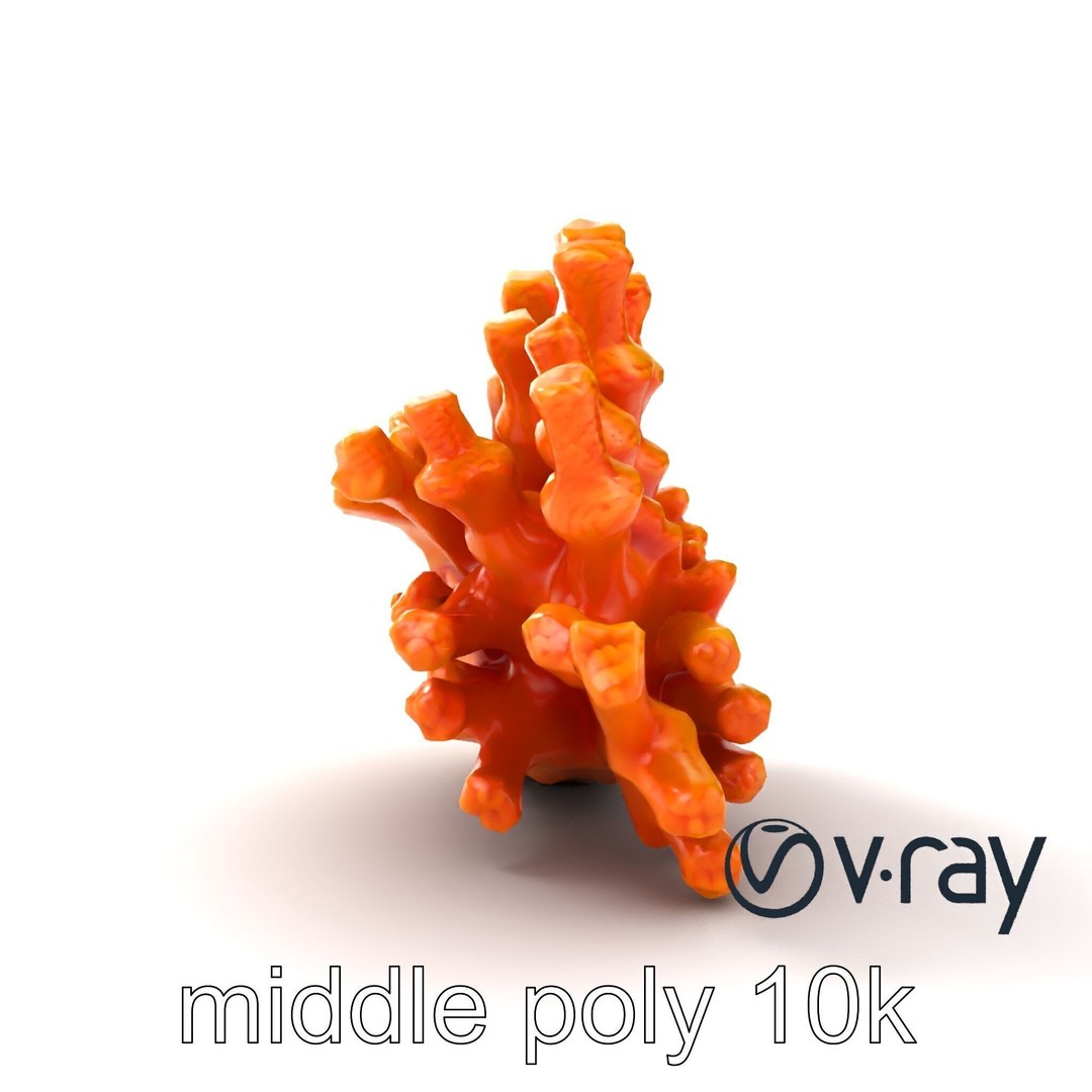 Coral Fan 3D Model – Low Poly Textured Asset for Underwater Scenes - View 12