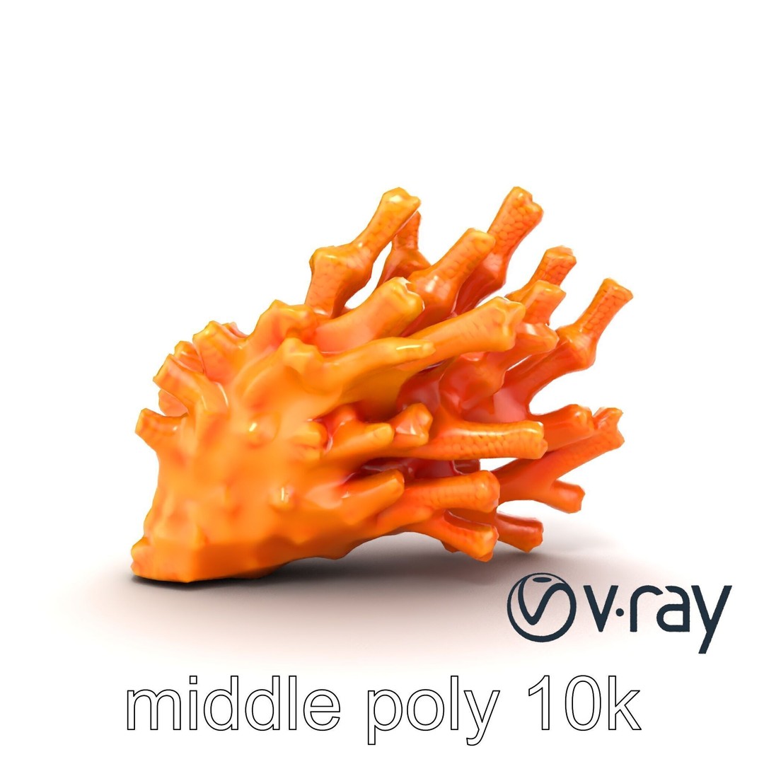 Coral Fan 3D Model – Low Poly Textured Asset for Underwater Scenes - View 14