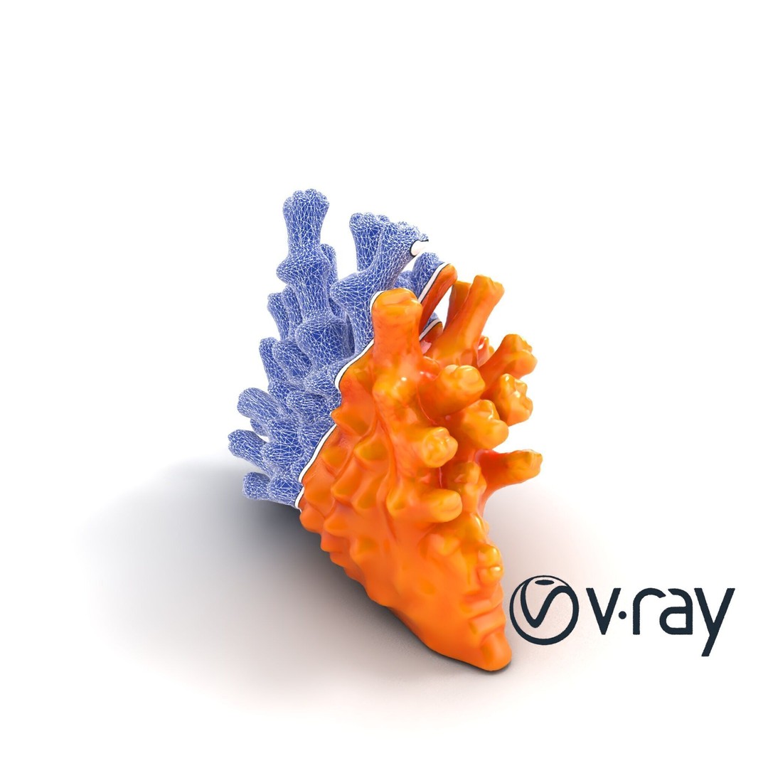 Coral Fan 3D Model – Low Poly Textured Asset for Underwater Scenes - View 15