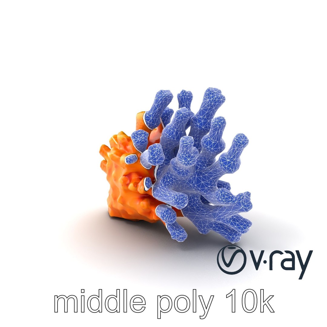 Coral Fan 3D Model – Low Poly Textured Asset for Underwater Scenes - View 16