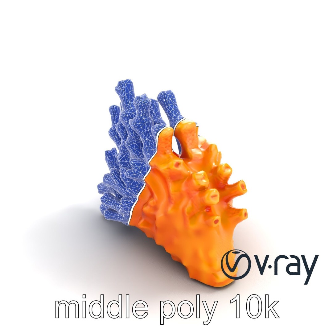 Coral Fan 3D Model – Low Poly Textured Asset for Underwater Scenes - View 17
