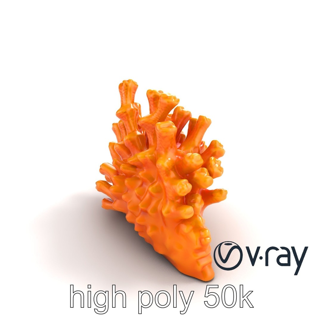 Coral Fan 3D Model – Low Poly Textured Asset for Underwater Scenes - View 18