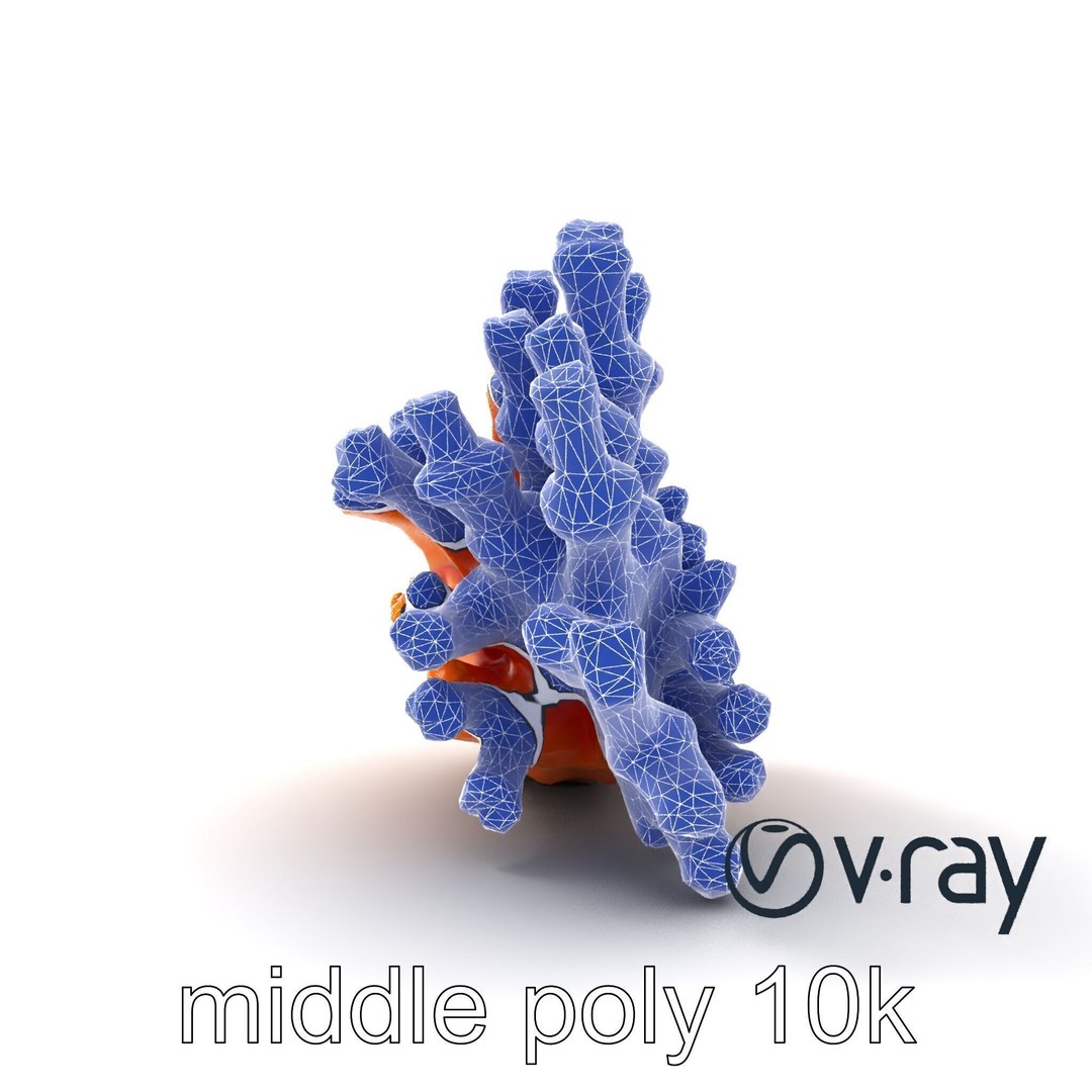 Coral Fan 3D Model – Low Poly Textured Asset for Underwater Scenes - View 19