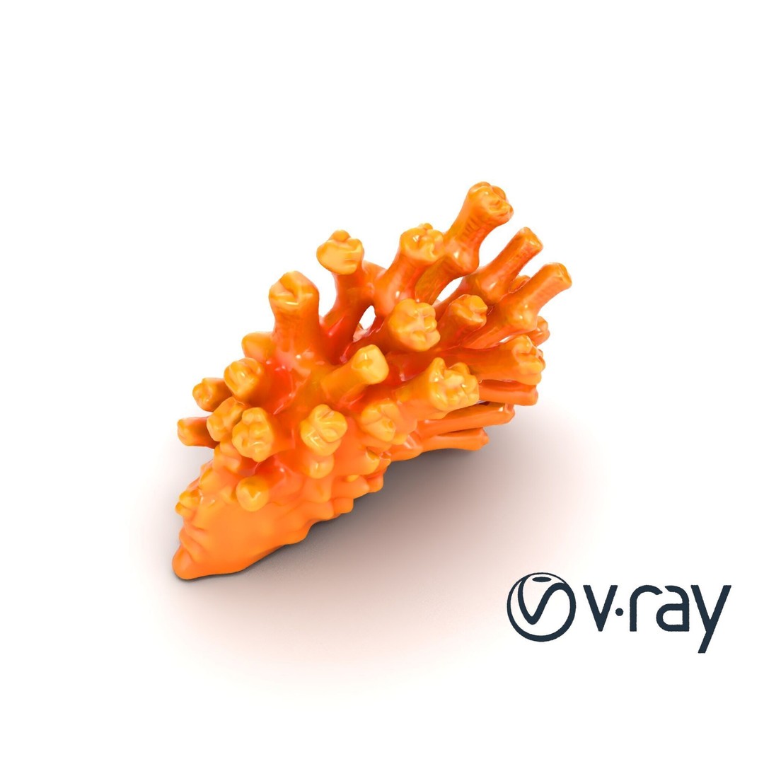 Coral Fan 3D Model – Low Poly Textured Asset for Underwater Scenes - View 23