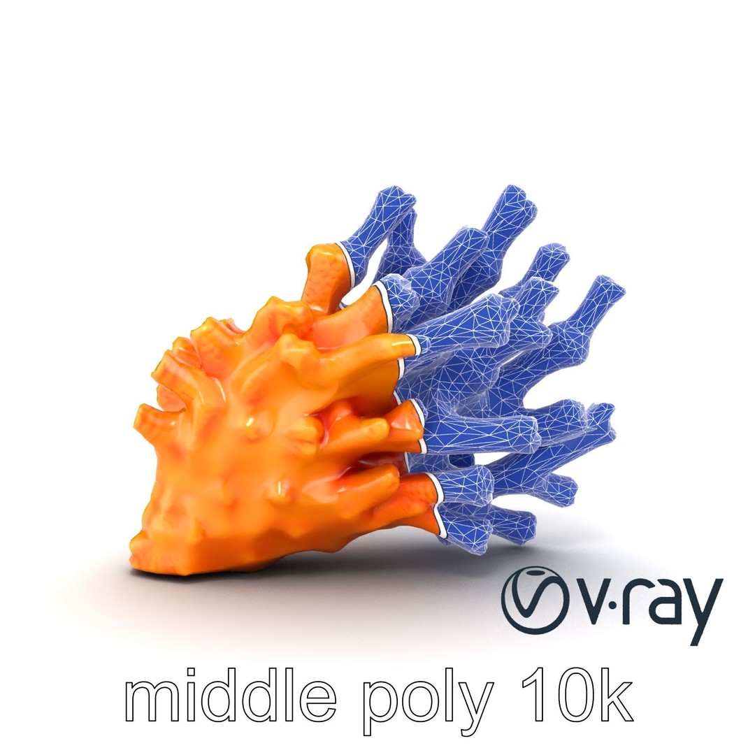 Coral Fan 3D Model – Low Poly Textured Asset for Underwater Scenes - View 24