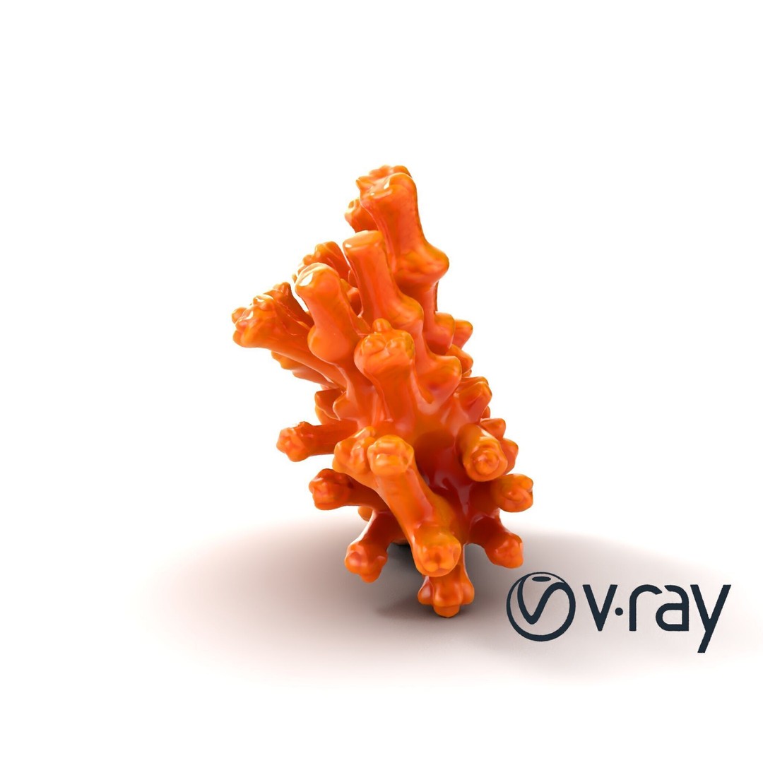Coral Fan 3D Model – Low Poly Textured Asset for Underwater Scenes - View 26