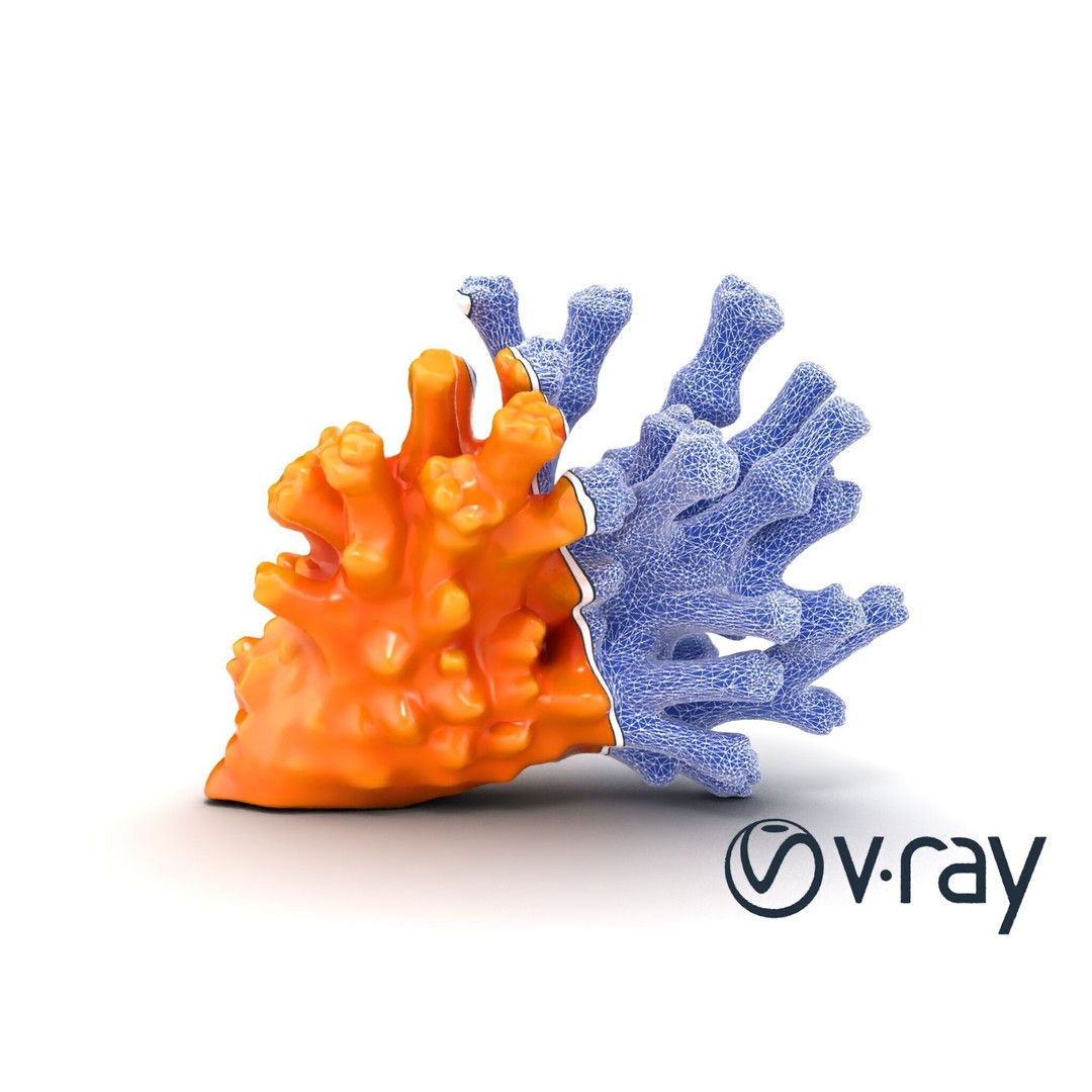 Coral Fan 3D Model – Low Poly Textured Asset for Underwater Scenes - View 29