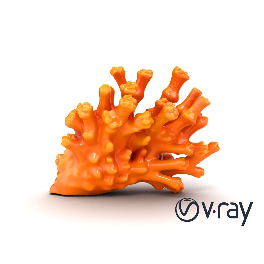 Coral Fan 3D Model – Low Poly Textured Asset for Underwater Scenes - View 30