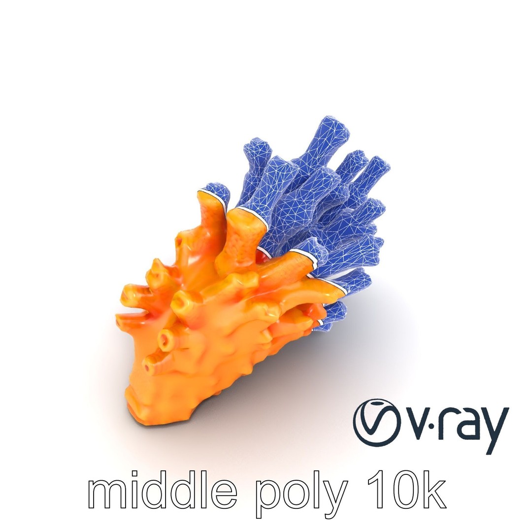 Coral Fan 3D Model – Low Poly Textured Asset for Underwater Scenes - View 31