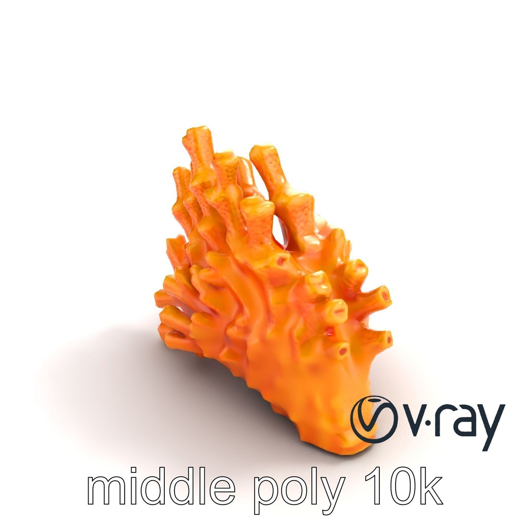Coral Fan 3D Model – Low Poly Textured Asset for Underwater Scenes - View 6