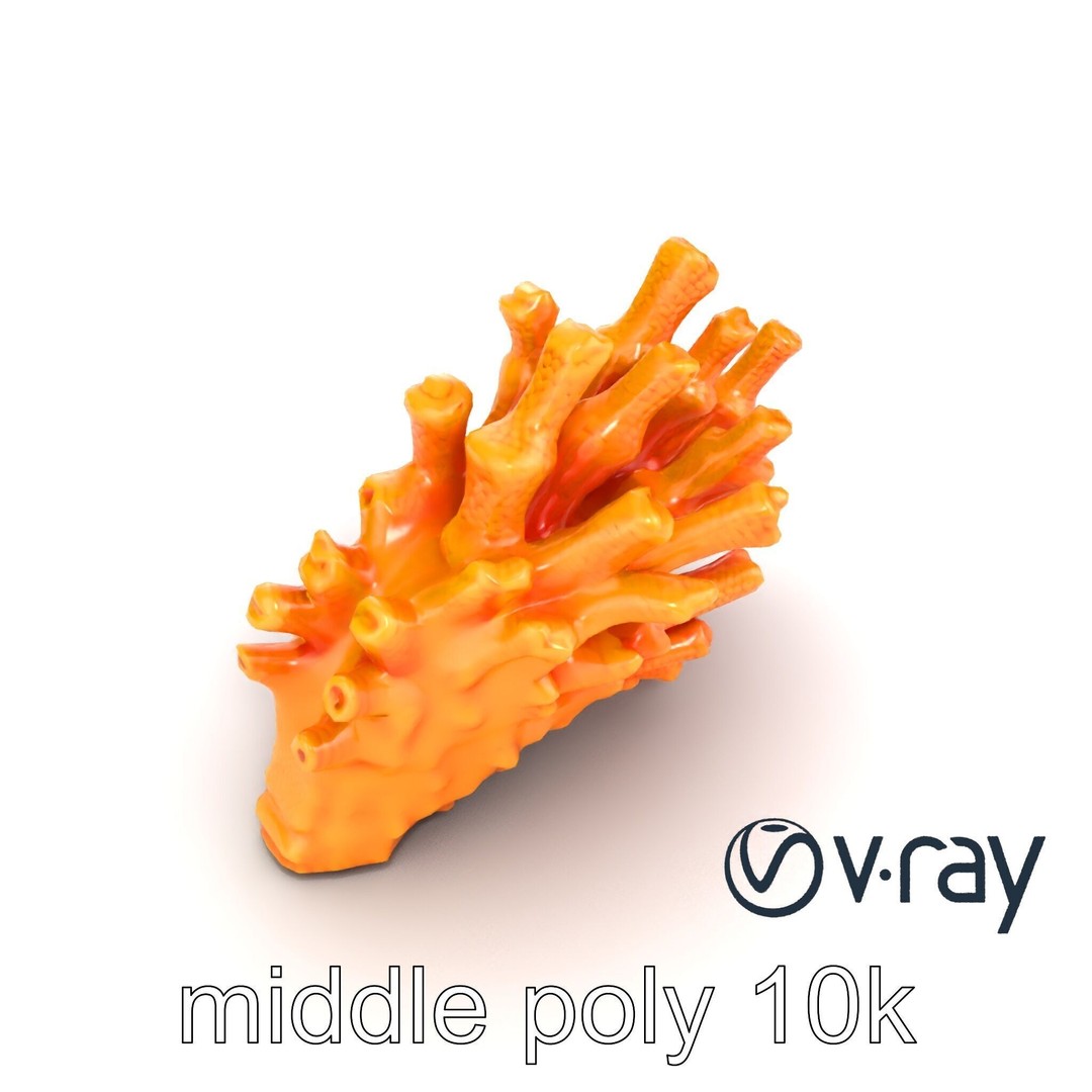 Coral Fan 3D Model – Low Poly Textured Asset for Underwater Scenes - View 9