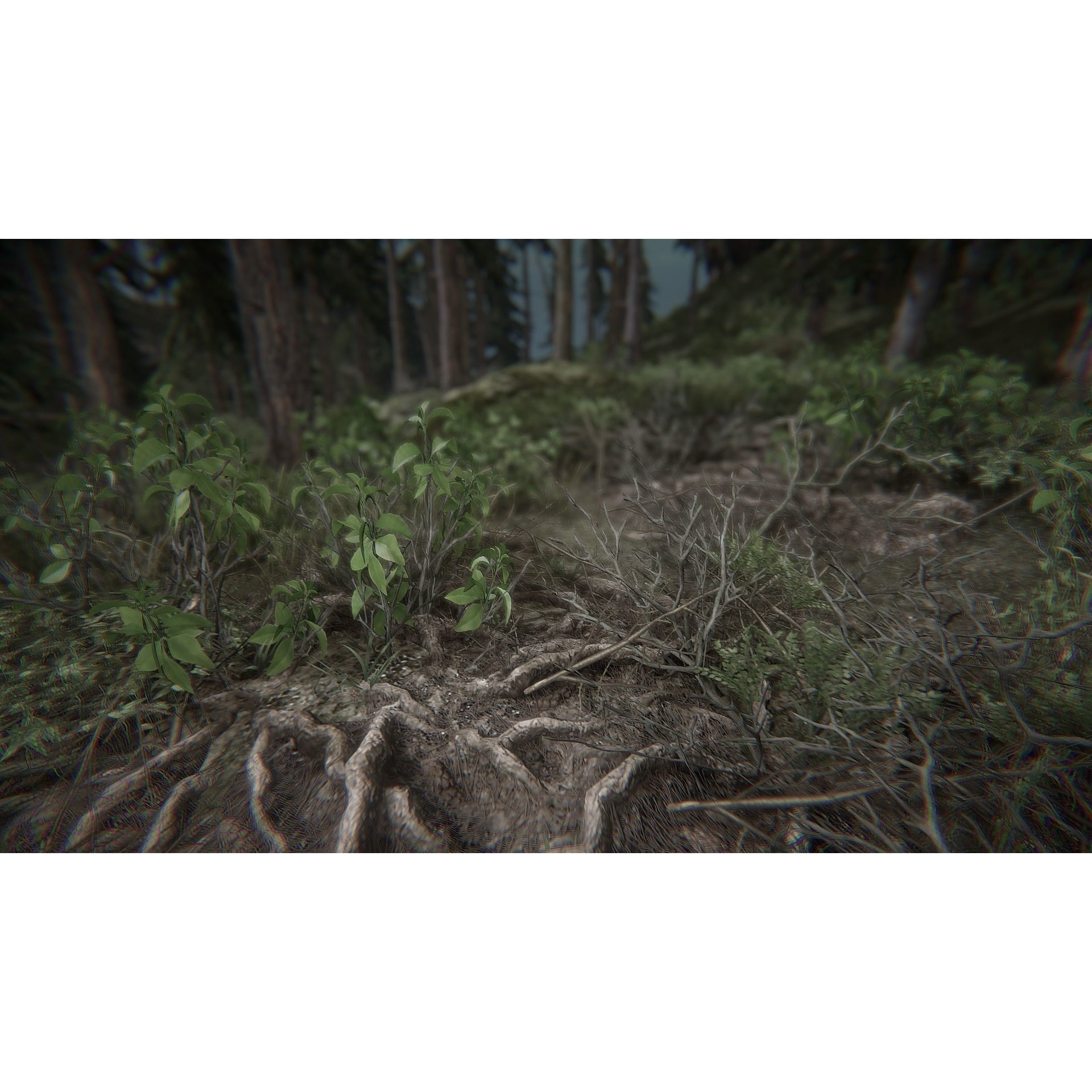 BIG Environment Pack Reforged - Low-Poly Game-Ready 3D Model - View 17