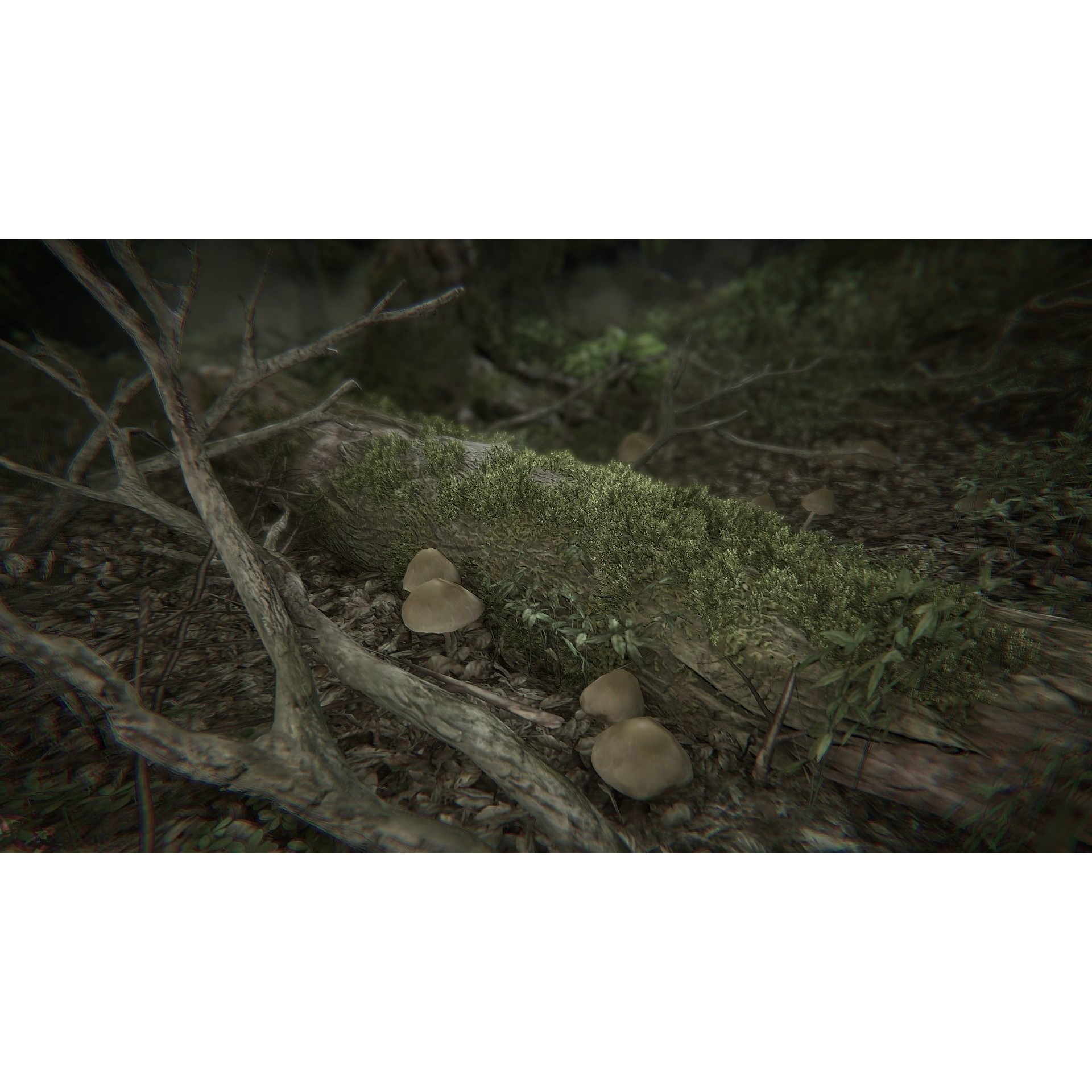 BIG Environment Pack Reforged - Low-Poly Game-Ready 3D Model - View 28