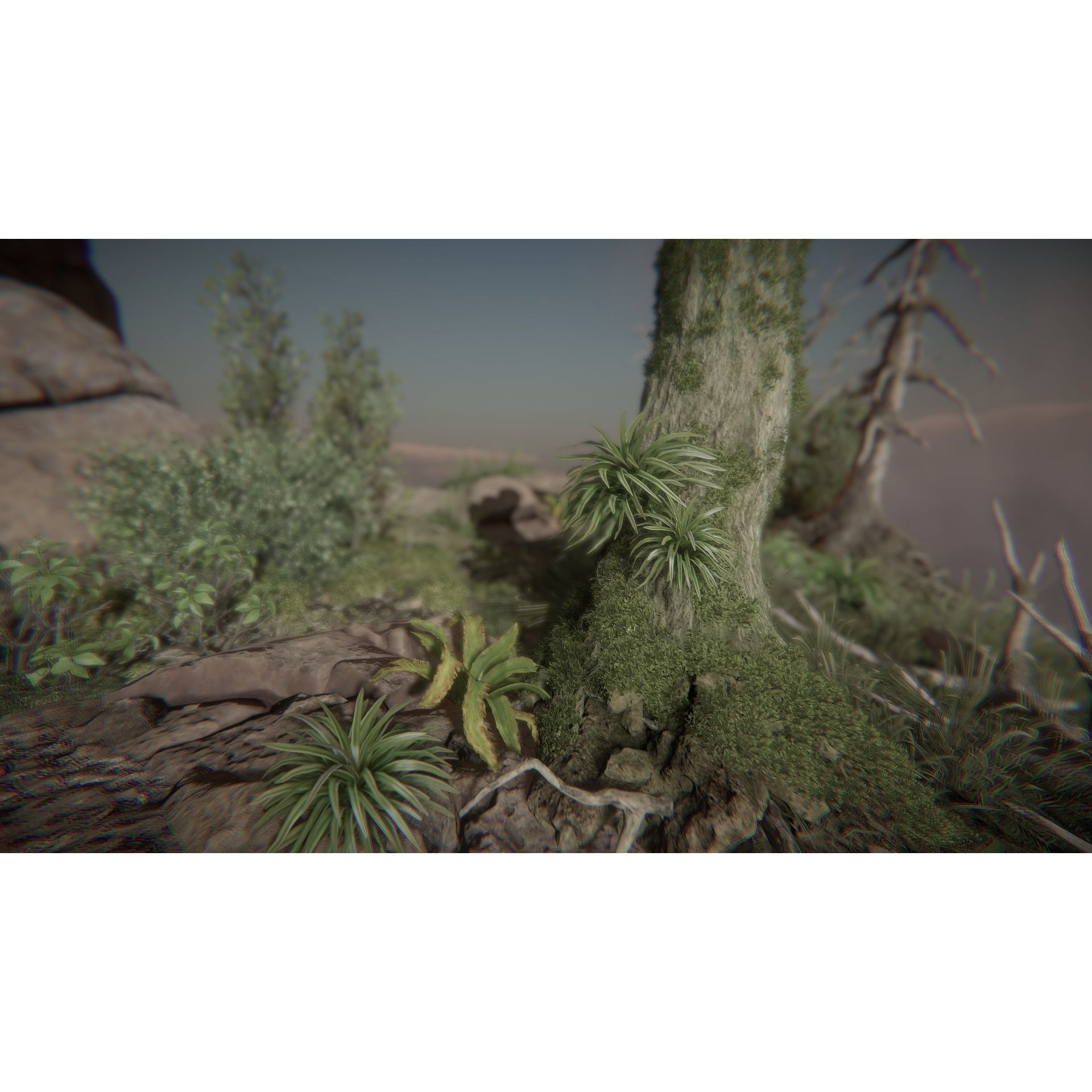 BIG Environment Pack Reforged - Low-Poly Game-Ready 3D Model - View 51