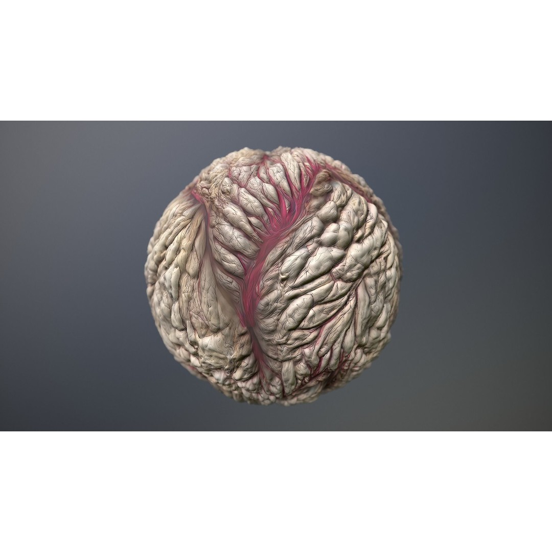 Skin Monster 3D Model – Seamless PBR Texture Pack, FBX - View 10