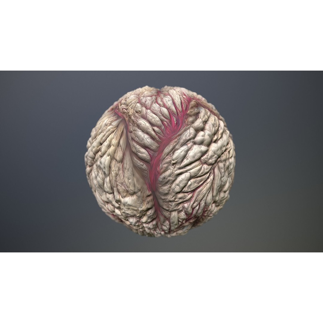 Skin Monster 3D Model – Seamless PBR Texture Pack, FBX - View 11
