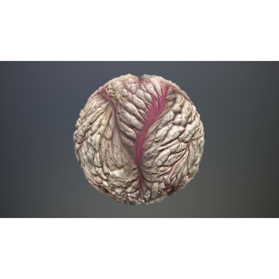 Skin Monster 3D Model – Seamless PBR Texture Pack, FBX - View 12