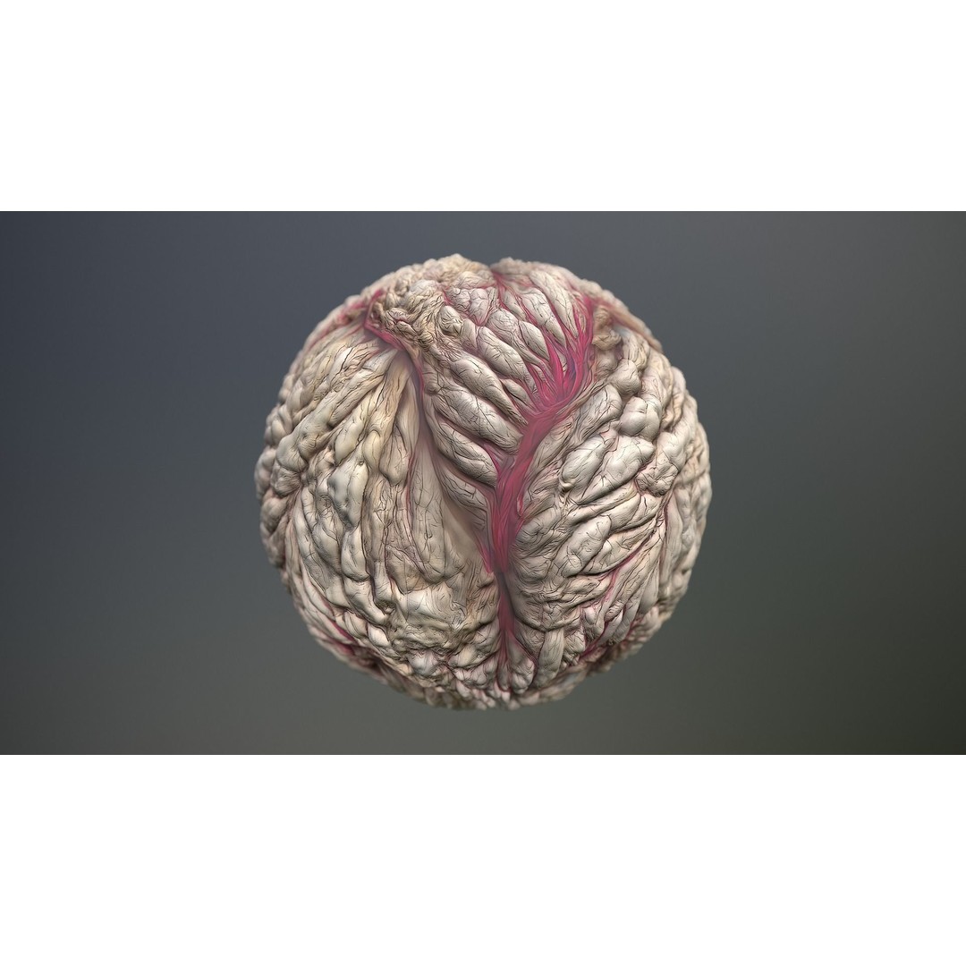 Skin Monster 3D Model – Seamless PBR Texture Pack, FBX - View 14