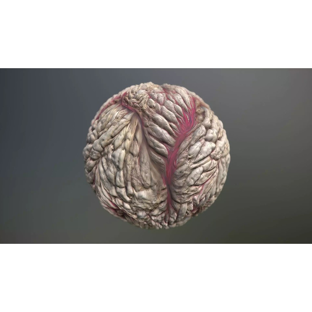 Skin Monster 3D Model – Seamless PBR Texture Pack, FBX - View 2