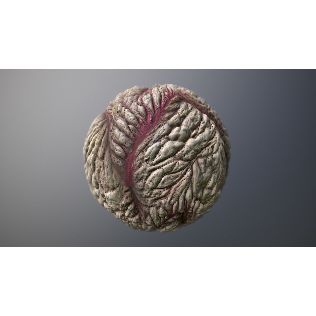 Skin Monster 3D Model – Seamless PBR Texture Pack, FBX - View 8