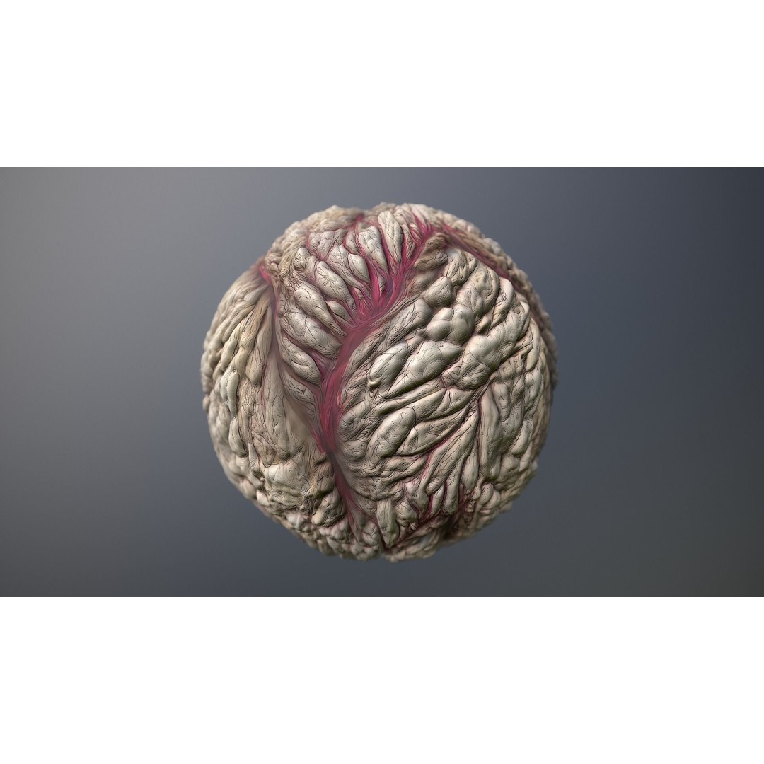 Skin Monster 3D Model – Seamless PBR Texture Pack, FBX - View 9