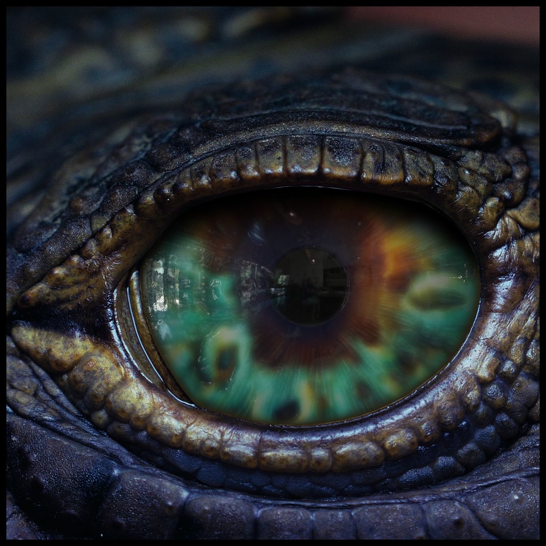 Creature Eyes 3D Model – PBR Textures for Realistic Characters