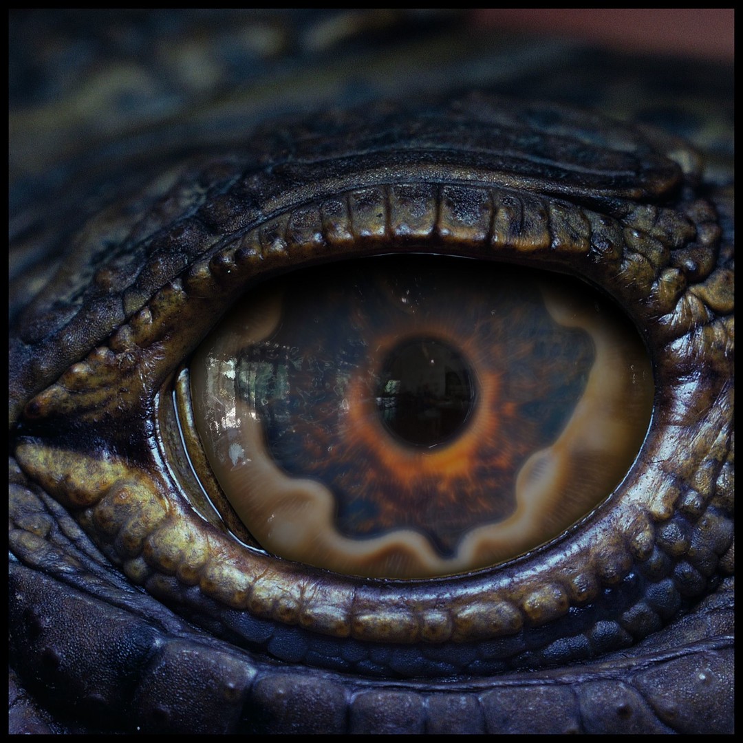 Creature Eyes 3D Model – PBR Textures for Realistic Characters - View 10