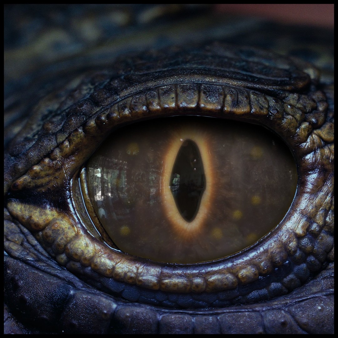 Creature Eyes 3D Model – PBR Textures for Realistic Characters - View 11