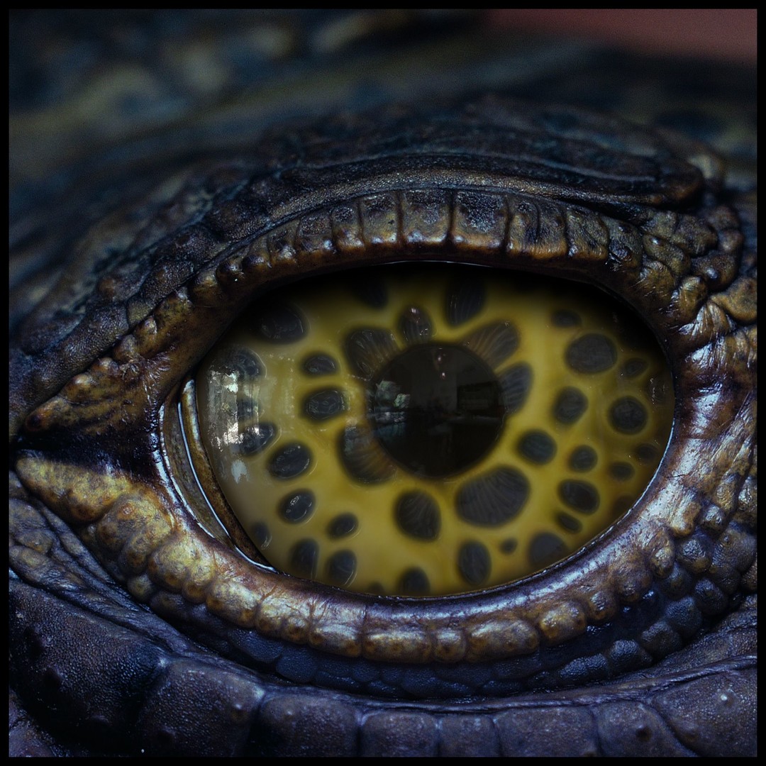 Creature Eyes 3D Model – PBR Textures for Realistic Characters - View 12