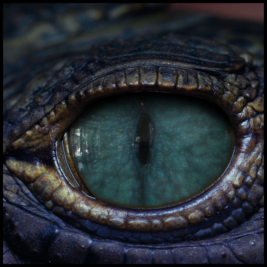 Creature Eyes 3D Model – PBR Textures for Realistic Characters - View 13