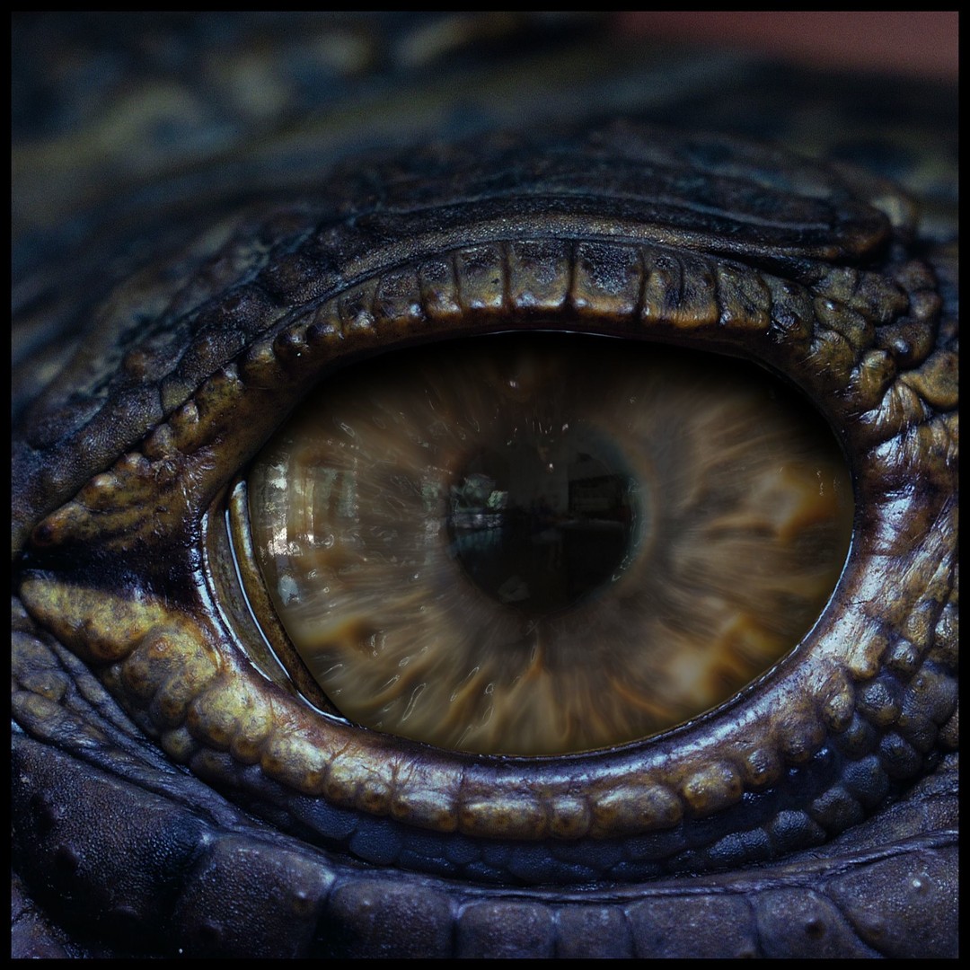 Creature Eyes 3D Model – PBR Textures for Realistic Characters - View 14