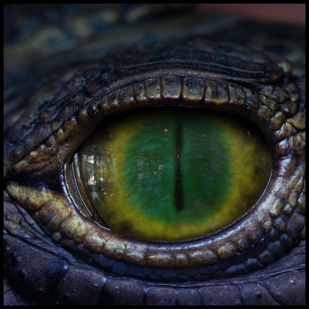 Creature Eyes 3D Model – PBR Textures for Realistic Characters - View 15