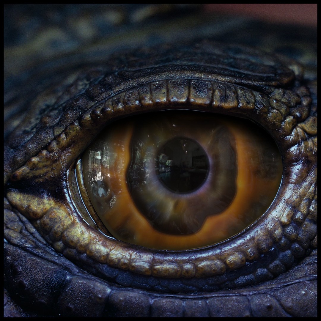 Creature Eyes 3D Model – PBR Textures for Realistic Characters - View 16