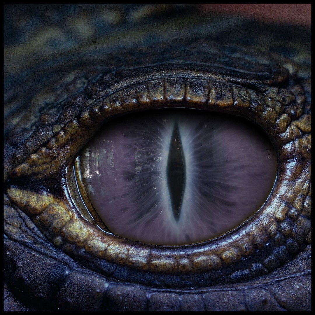 Creature Eyes 3D Model – PBR Textures for Realistic Characters - View 17