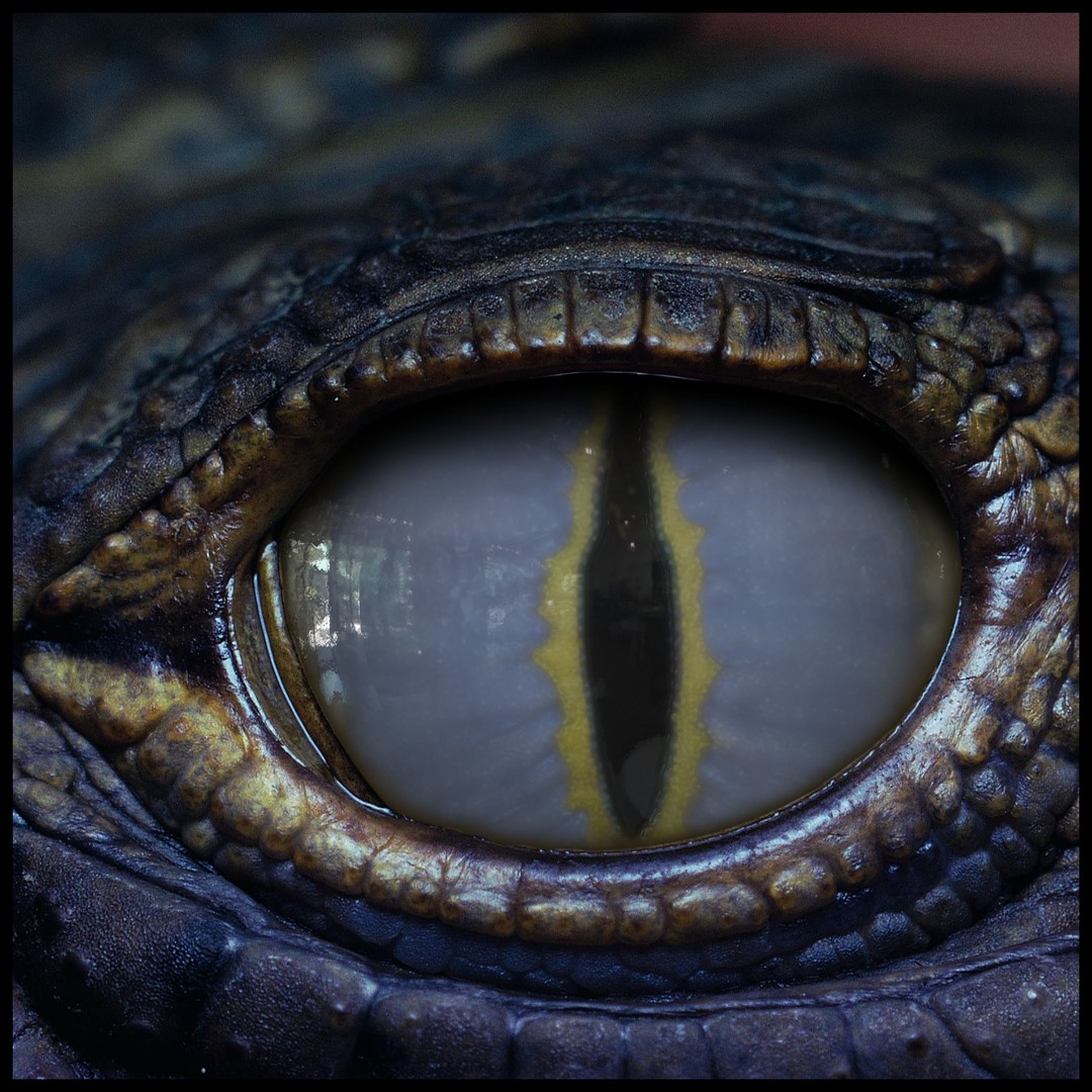 Creature Eyes 3D Model – PBR Textures for Realistic Characters - View 3