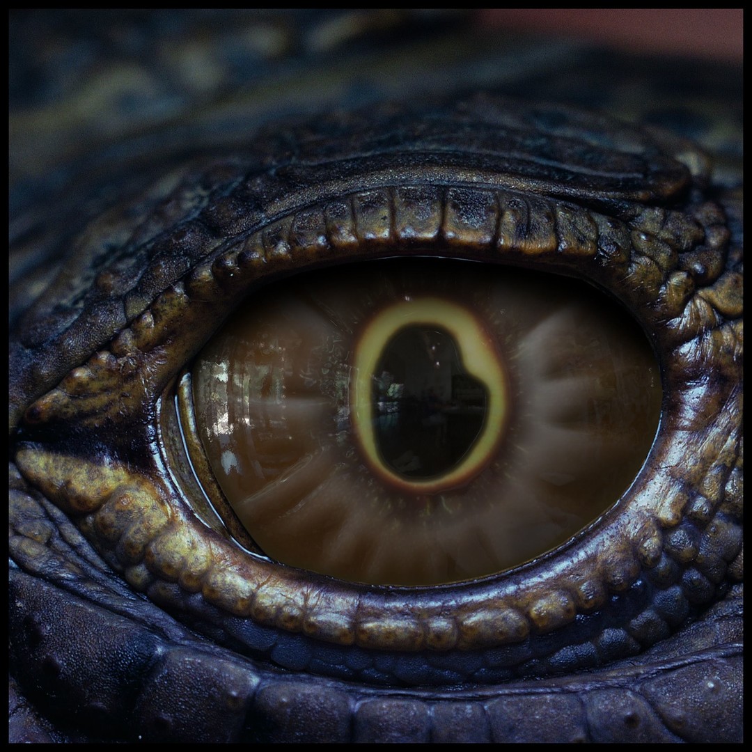 Creature Eyes 3D Model – PBR Textures for Realistic Characters - View 4