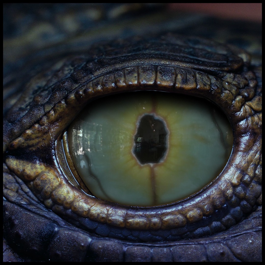 Creature Eyes 3D Model – PBR Textures for Realistic Characters - View 5