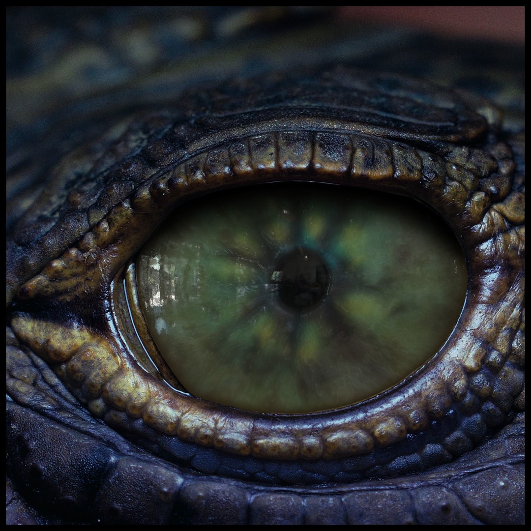 Creature Eyes 3D Model – PBR Textures for Realistic Characters - View 6