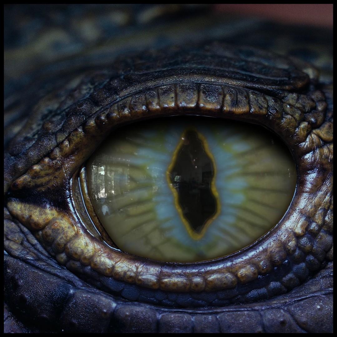 Creature Eyes 3D Model – PBR Textures for Realistic Characters - View 7