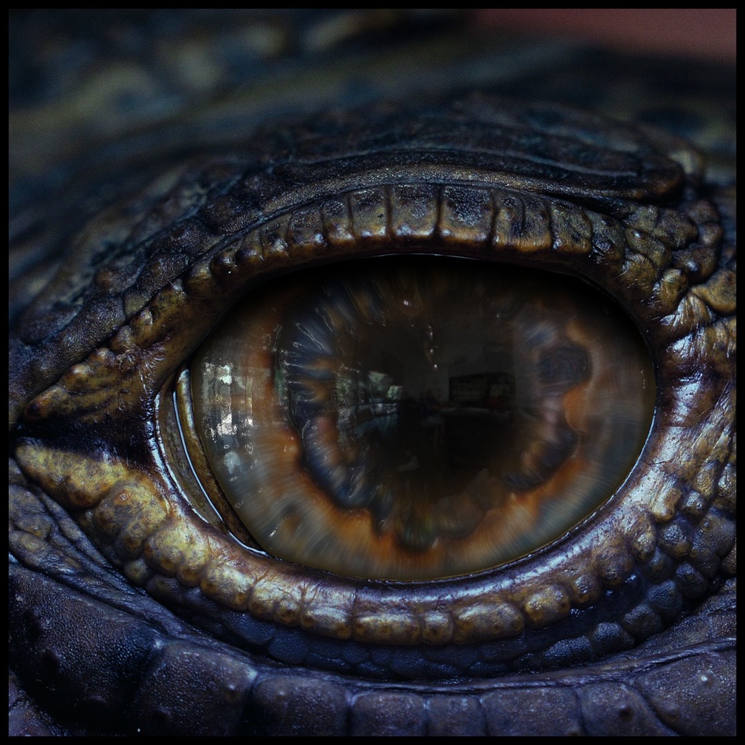 Creature Eyes 3D Model – PBR Textures for Realistic Characters - View 8