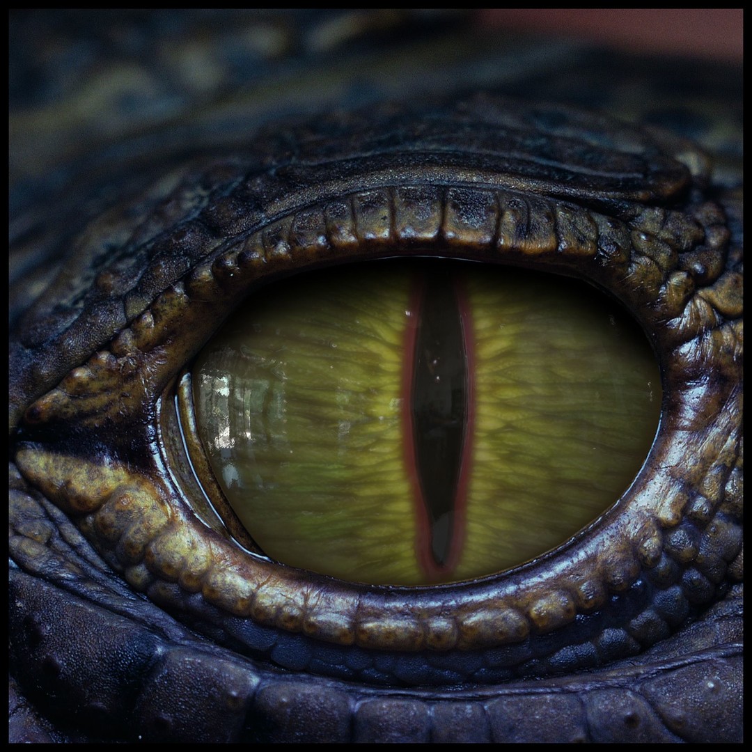 Creature Eyes 3D Model – PBR Textures for Realistic Characters - View 9